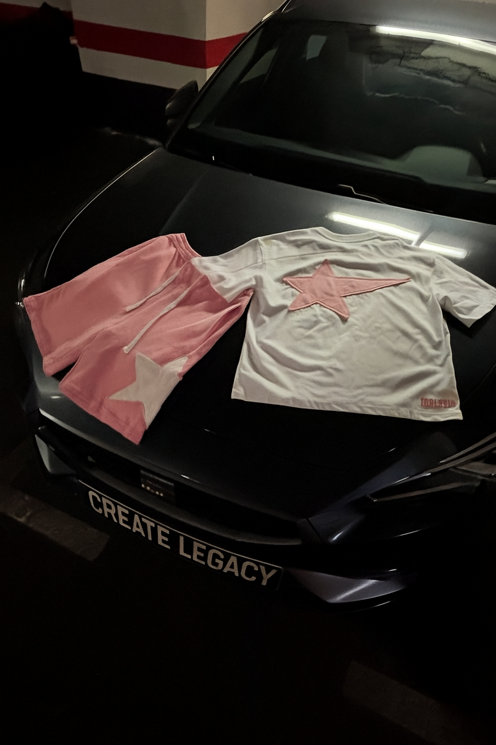 Camiseta Rosa